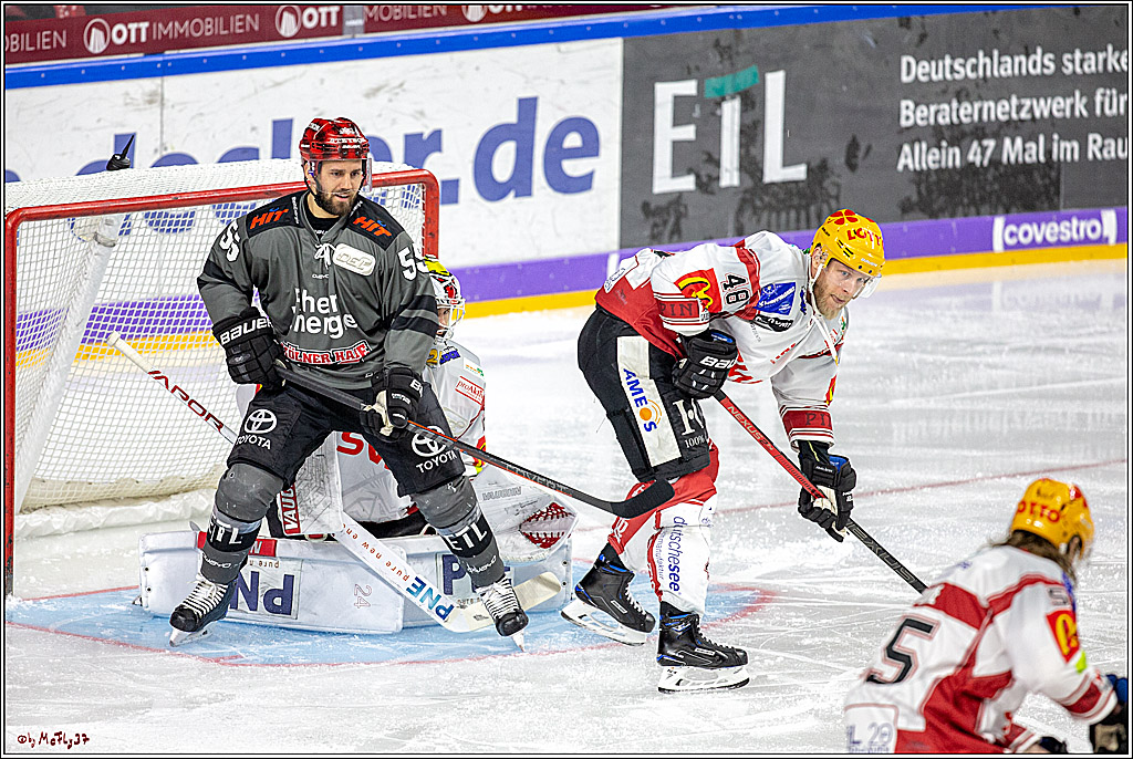 DEL; Koelner Haie - Fischtowns Pinguins Bremerhaven, 24.01.2019